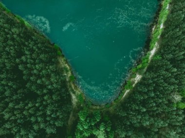 Gölet ve orman sınır yukarıdan