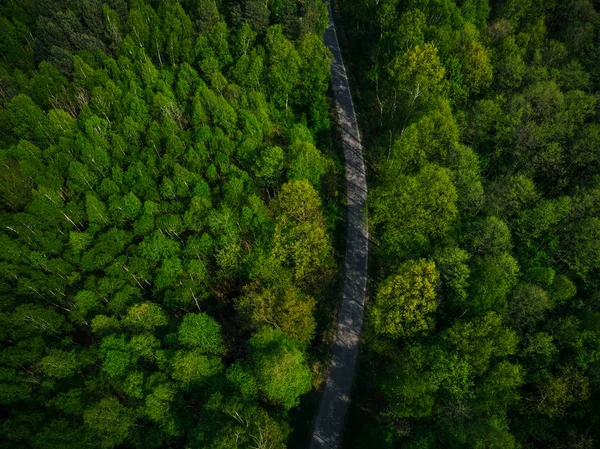 Leere Straße in die Wildnis, Drohnenblick aus der Luft — Stockfoto