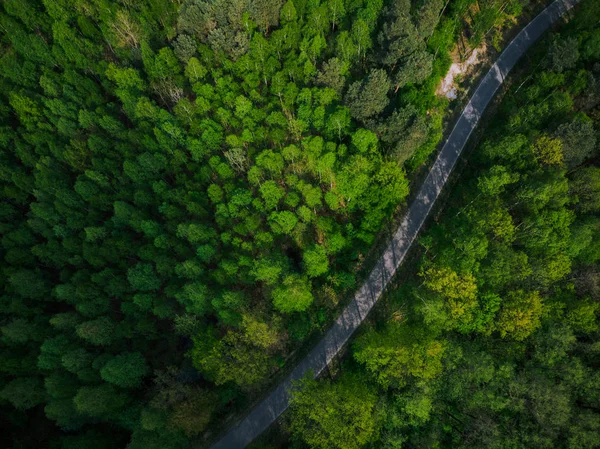 Leere Straße in die Wildnis, Drohnenblick aus der Luft — Stockfoto