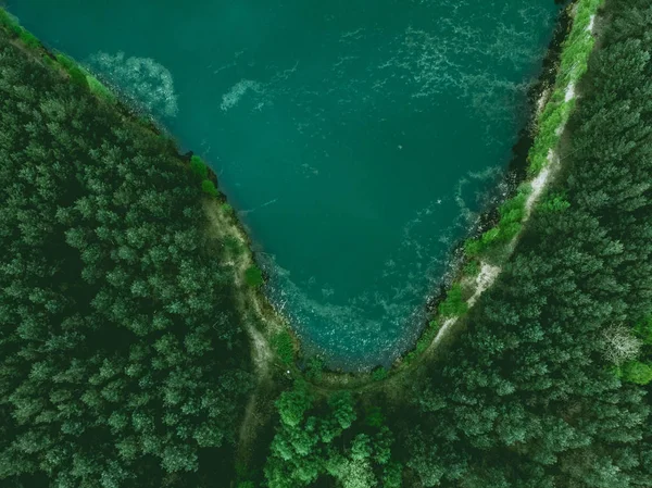 Gölet ve orman sınır yukarıdan