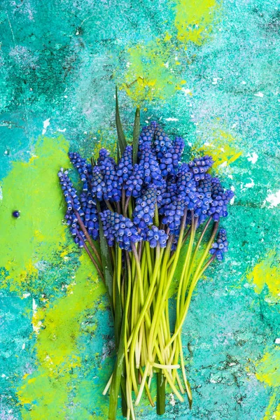 Bunch of fresh cut hyacinth flowers on colorful background