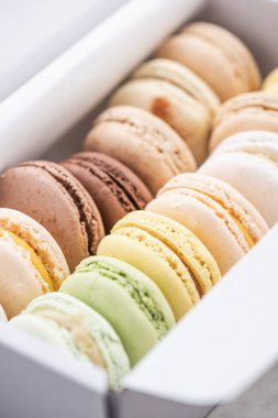 Renkli Pastel Kurabiyeli Kutu