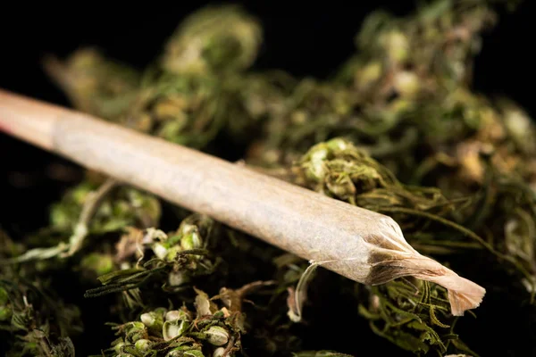 Rollte medizinische Marihuana-Joints. medizinisches Cannabis mit cbd — Stockfoto