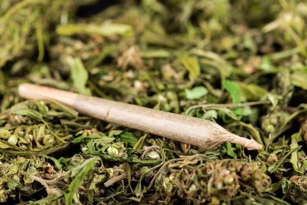 Legaler medizinischer Cannabis Joint mit Cannabidiol und cbd — Stockfoto