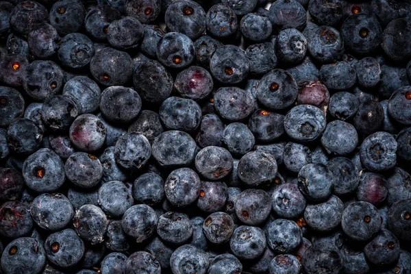 Divoké Borůvky Zavřít Pozadí Potravin Organické Čerstvé Bio Potraviny — Stock fotografie