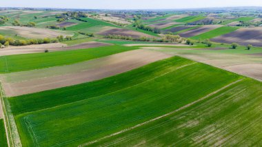 Baharda kırsal bölgedeki tarlalarda ekilmiş tarlalar. Hava Aracı Görünümü.