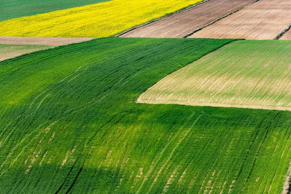 春の農業 農場のカラフルなパターン — ストック写真