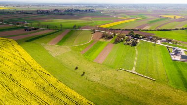 Organik Bal Üretimi. Kırsal kesimde ahşap arı kovanlı Apiary. Hava Aracı Görünümü.