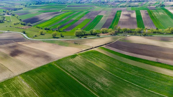 田舎のカラフルな風景農場のフィールドパターン 空中ドローンビュー — ストック写真