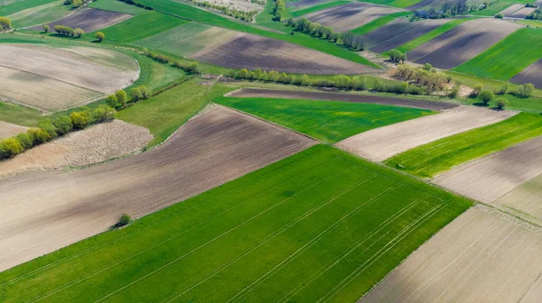 Paisaje Rural Primavera Campos Cultivo Coloridos Primavera Vista Aérea Del —  Fotos de Stock