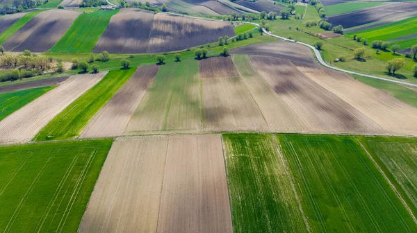 Geploegde Geploegde Gecultiveerde Velden Farm Geometrische Velden Vormen Luchtdrone View — Stockfoto