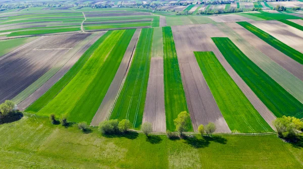 Geometrische Velden Van Boerderij Vormen Cultivated Countryside Scenic Landscape Luchtdrone — Stockfoto