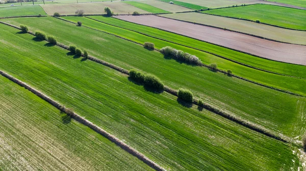 Coloridos Patrones Campos Granja Escénicos Campo Vista Aérea Del Dron —  Fotos de Stock