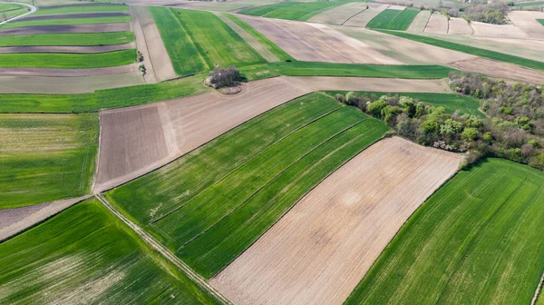 Campos Arados Arados Cultivados Granja Campos Geométricos Formas Vista Aérea — Foto de Stock