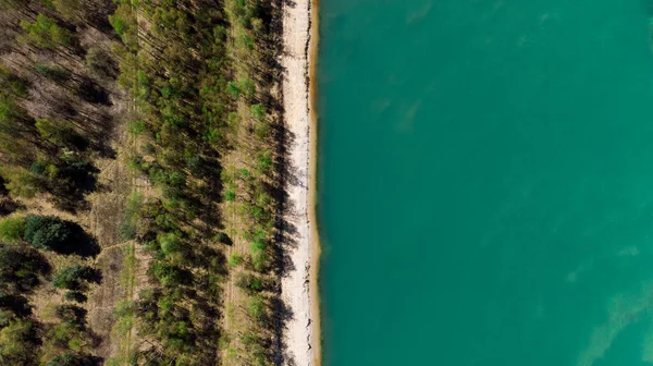 Letecký Drone View Shora Dolů Lese Pláží Blue Lake Edge — Stock fotografie