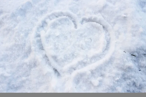 Hart in sneeuw — Stockfoto