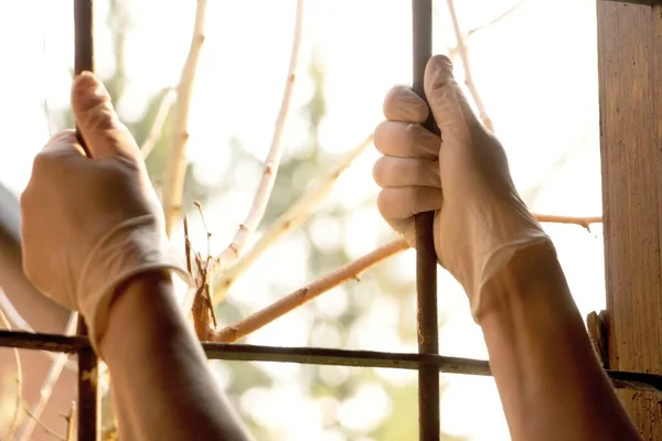 Pencere ızgarasından çıkmaya çalışan eldivenli eller.