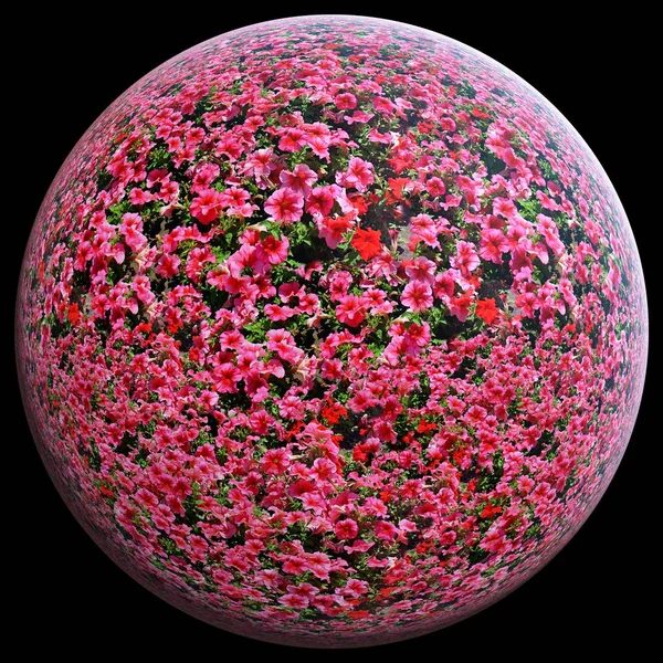 Red flowers on the sphere of the earth — Stock Photo, Image