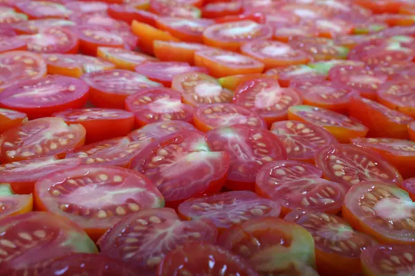 Preparación de tomate seco — Foto de Stock