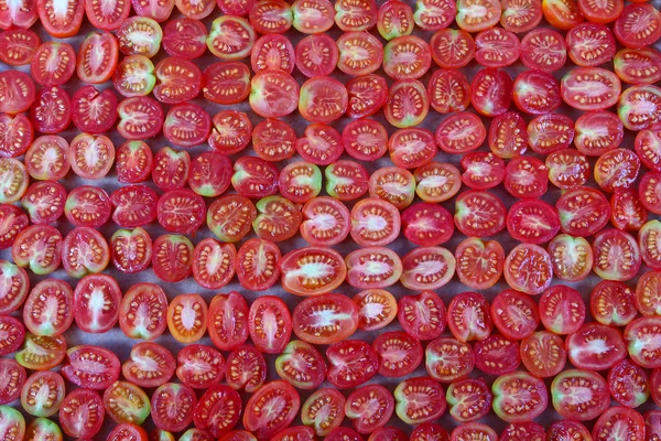 Preparación de tomate seco — Foto de Stock
