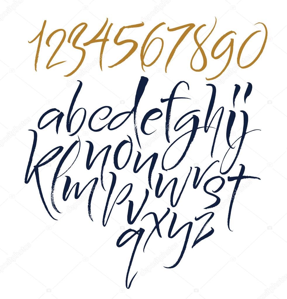 Vector alphabet. Hand drown letters. Duo brush rush fonts