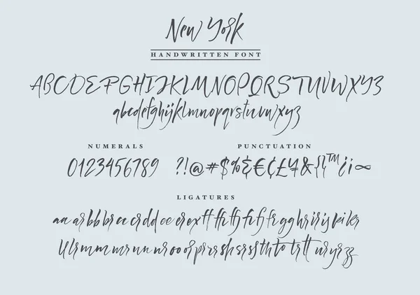 New York handwritten font. Script. — Stock Vector