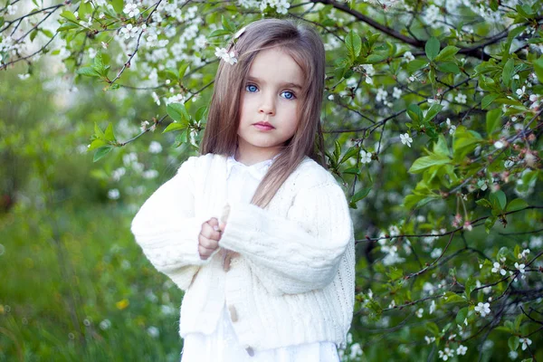 Piękna Dziewczyna Kwitnący Ogród Drzewa Jabłko Cieszyć Się Ciepły Wiosenny — Zdjęcie stockowe