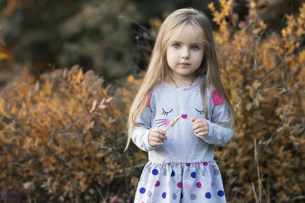 Bella Bambina Sulla Bellezza Autunno Paesaggio Sfondo — Foto Stock