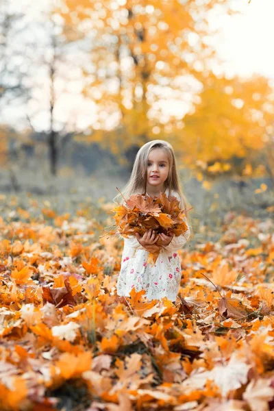 Όμορφο Κοριτσάκι Φθινοπωρινό Τοπίο Φόντο Ομορφιά — Φωτογραφία Αρχείου