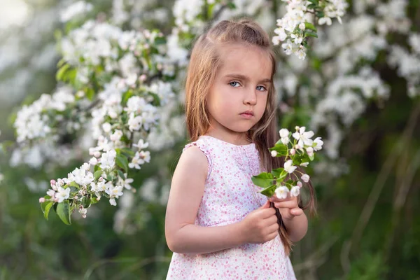 Çiçek açan elma ağacı bahçede güzel kız zevk sıcak bahar günü