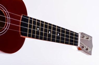 Modern Hawai gitar dört teli ile