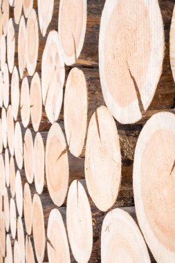 Ahşap günlükleri farklı boyutlarda dikey arka plan