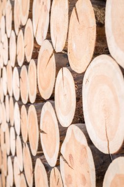 Ahşap günlükleri farklı boyutlarda dikey arka plan