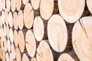 Ahşap günlükleri farklı boyutlarda yatay arka plan