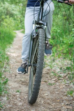 Seyahate orman yolu boyunca bir dağ bisikleti. Spor ve yaz aylarında aktif yaşam kavramı. Dikey Çerçeve