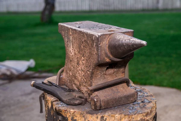 The old anvil is on the stump. Surrounded by a beautiful lawn, s