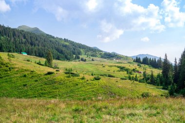 Seyahat, trekking. Yaz manzara - dağlar, yeşil otlar, ağaçlar ve mavi gökyüzü. Yatay Çerçeve