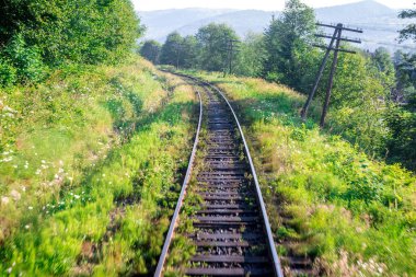 Seyahat, dinlenme. Ağaçlar, ot ve çalılar çevrili demiryolu parça görünümünü. Yatay Çerçeve
