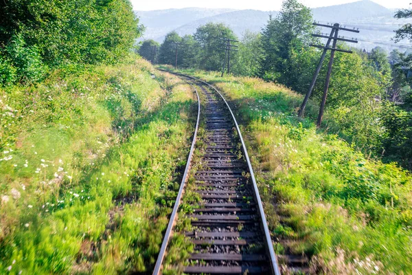 Seyahat, dinlenme. Ağaçlar, ot ve çalılar çevrili demiryolu parça görünümünü. Yatay Çerçeve