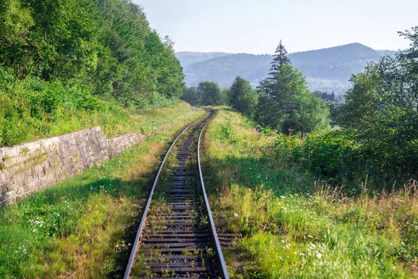 Seyahat, dinlenme. Ağaçlar, ot ve çalılar çevrili demiryolu parça görünümünü. Yatay Çerçeve