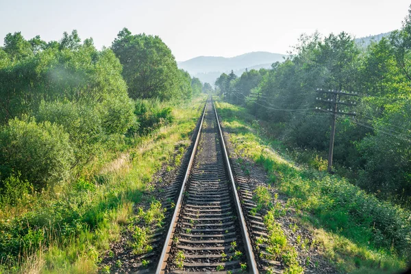 Reisen, Ruhe. Blick auf die Bahngleise, umgeben von Bäumen, Gras und Büschen. horizontaler Rahmen — Stockfoto