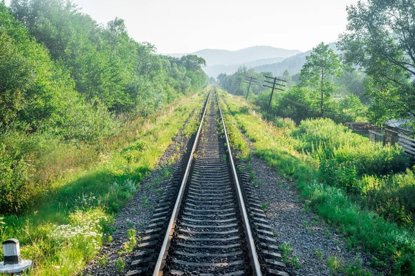 Seyahat, dinlenme. Ağaçlar, ot ve çalılar çevrili demiryolu parça görünümünü. Yatay Çerçeve
