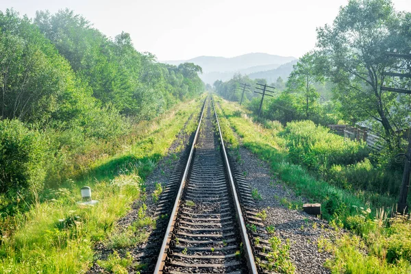 Reisen, Ruhe. Blick auf die Bahngleise, umgeben von Bäumen, Gras und Büschen. horizontaler Rahmen — Stockfoto