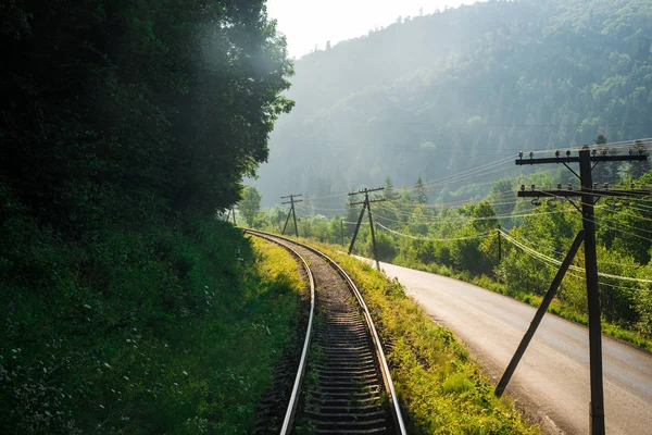 Reisen, Ruhe. Blick auf die Bahngleise, umgeben von Bäumen, Gras und Büschen. horizontaler Rahmen — Stockfoto