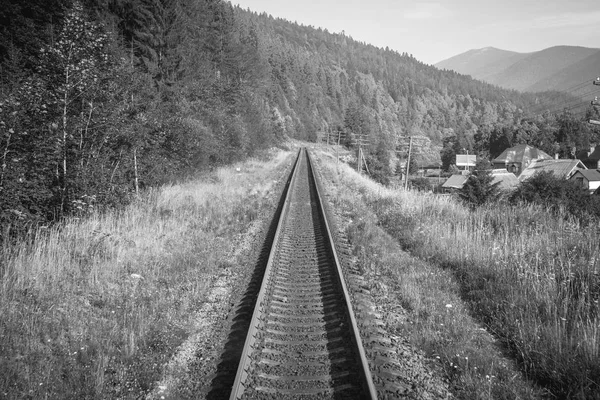 Reisen, Ruhe. Blick auf die Bahngleise, umgeben von Bäumen, Gras und Büschen. Schwarz-Weiß-Bild. horizontaler Rahmen — Stockfoto