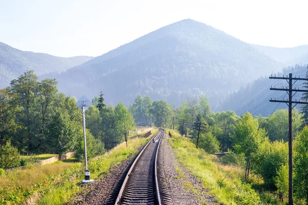 Reisen, Ruhe. Blick auf die Bahngleise, umgeben von Bäumen, Gras und Büschen. horizontaler Rahmen — Stockfoto