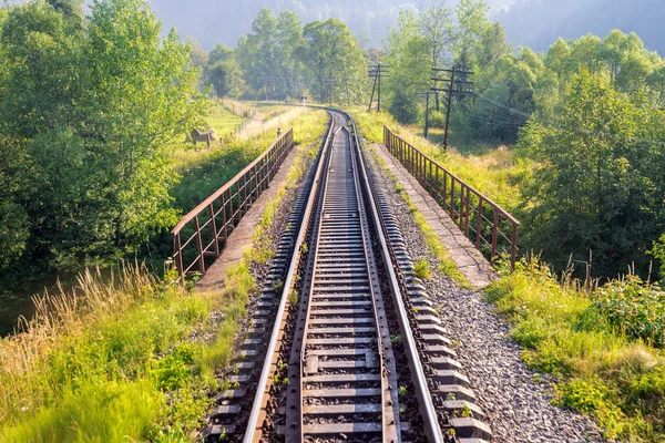 Reisen, Ruhe. Blick auf die Bahngleise, umgeben von Bäumen, Gras und Büschen, die die Brücke durchqueren. horizontaler Rahmen — Stockfoto