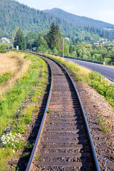 Reisen, Ruhe. Blick auf die Bahngleise, umgeben von Bäumen, Gras und Büschen. vertikaler Rahmen — Stockfoto