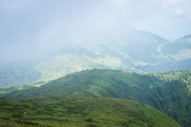Seyahat, trekking. Yaz manzara - dağlar, yeşil otlar, ağaçlar ve mavi gökyüzü. Yatay Çerçeve