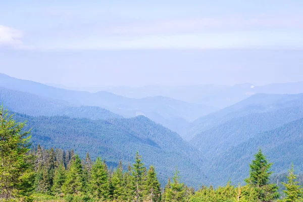 Seyahat, trekking. Yaz manzara - dağlar, yeşil otlar, ağaçlar ve mavi gökyüzü. Yatay Çerçeve